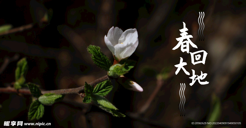 花