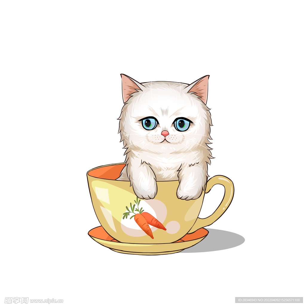 茶杯猫            