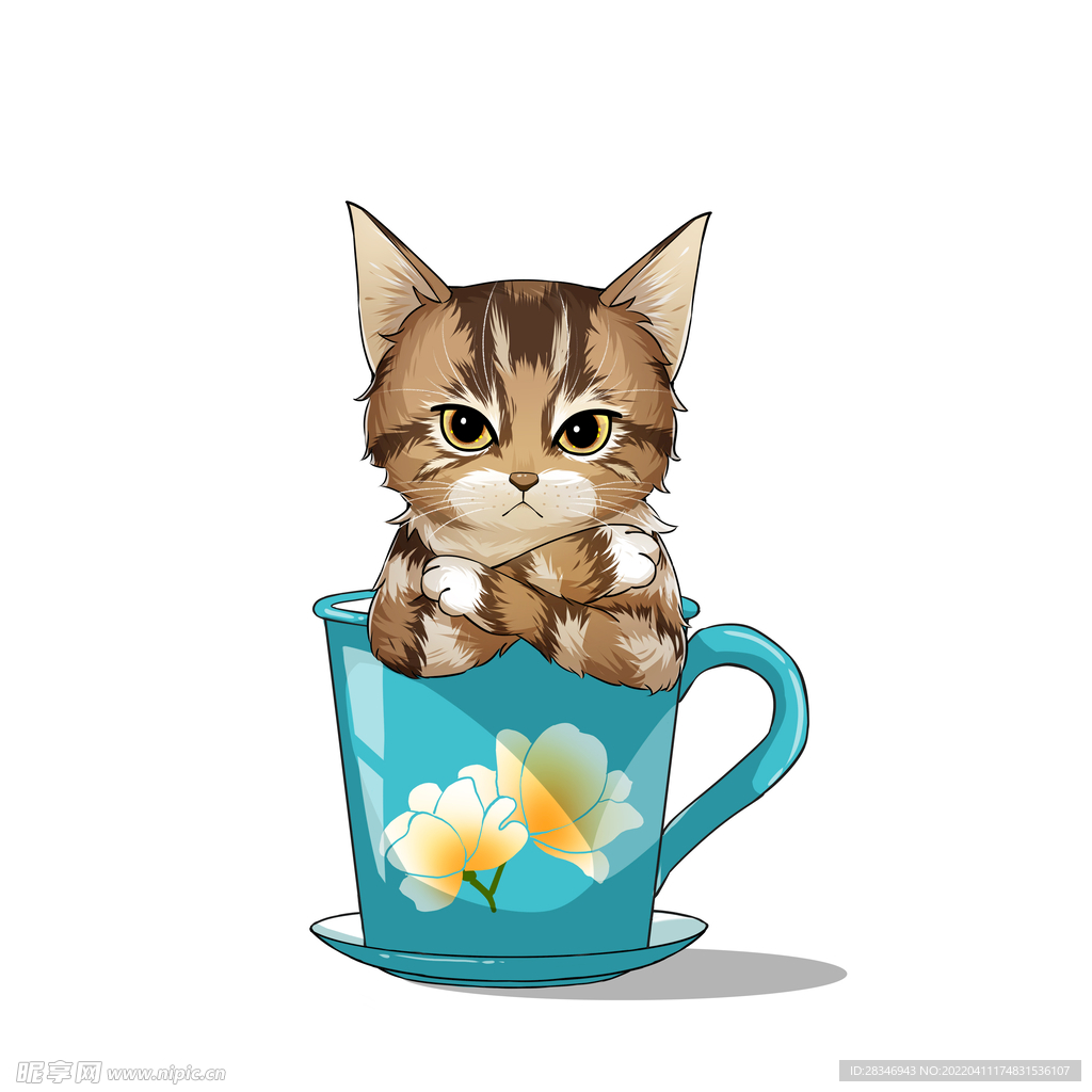 茶杯猫            