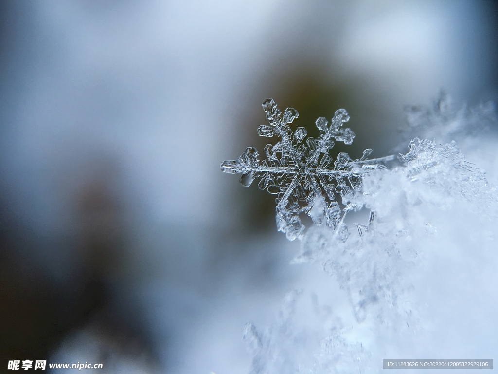 雪花微距摄影