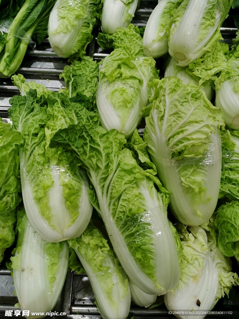 生菜