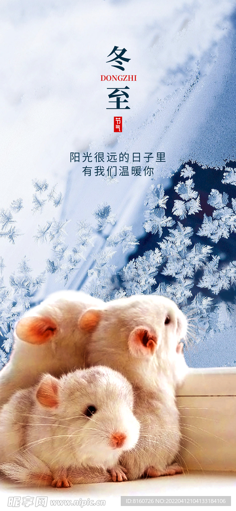 冬至节气
