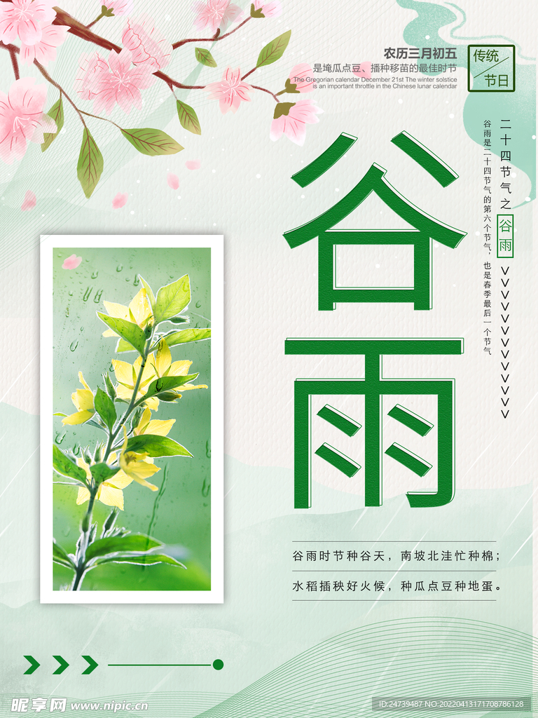 谷雨海报广告