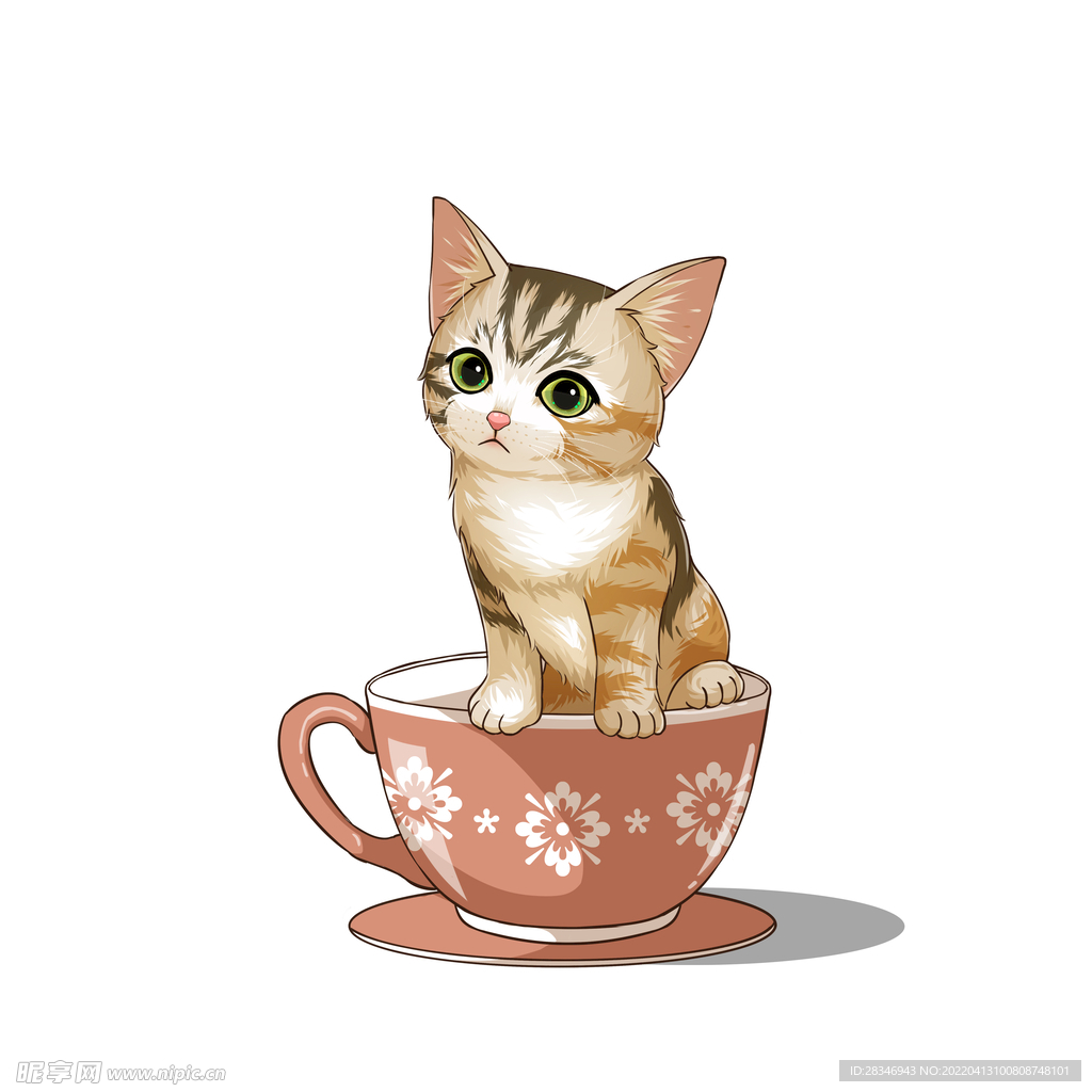 茶杯猫            