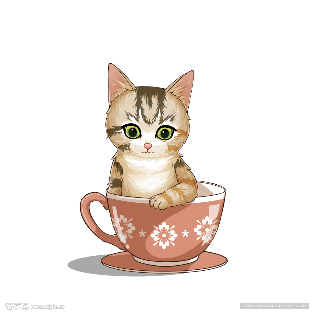 茶杯猫            