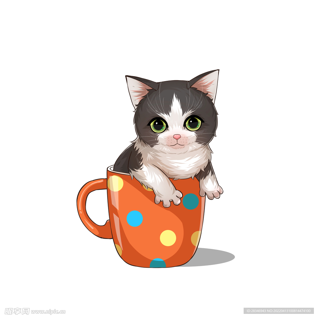 茶杯猫            
