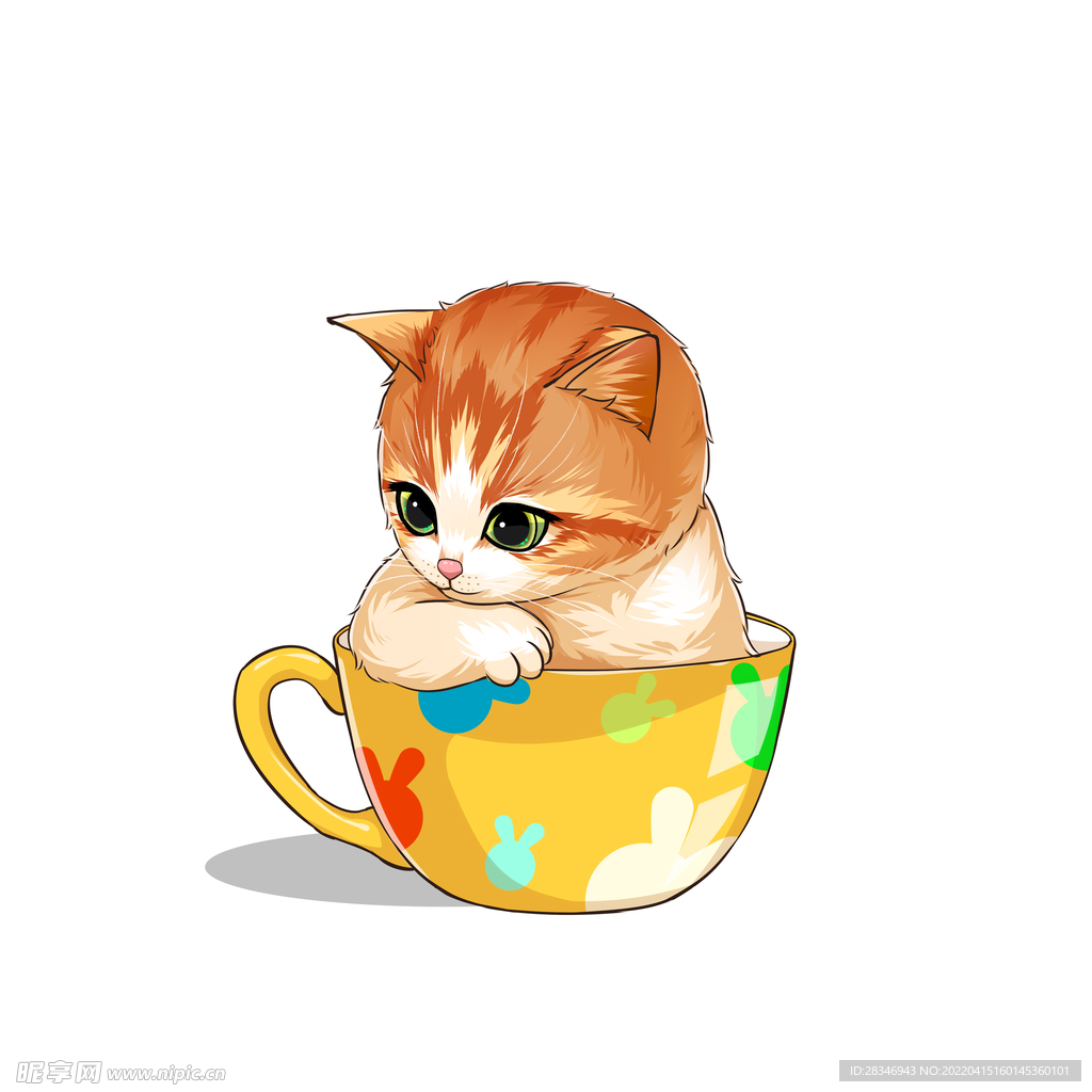 茶杯猫            