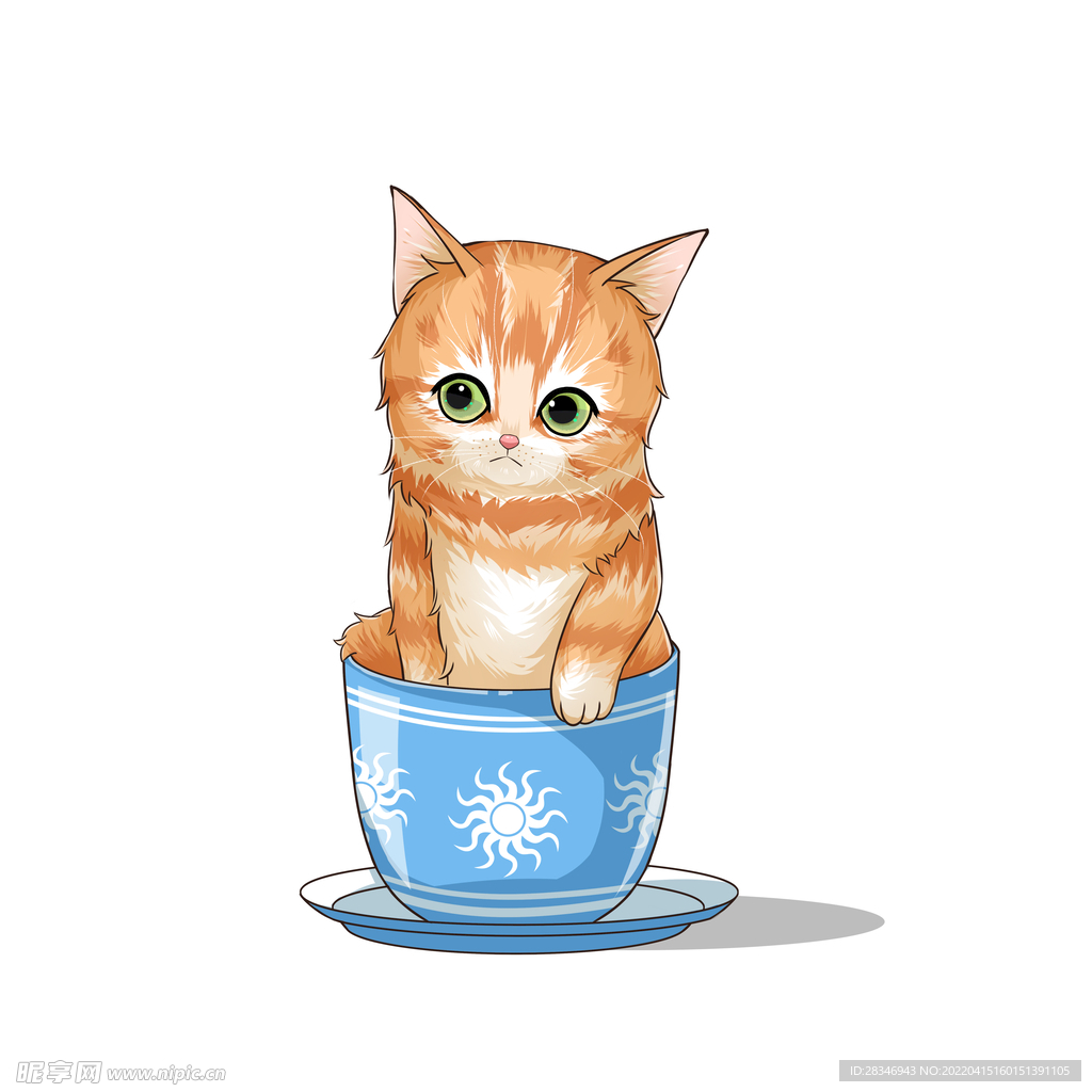 茶杯猫            