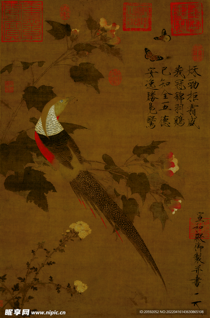 花鸟图 