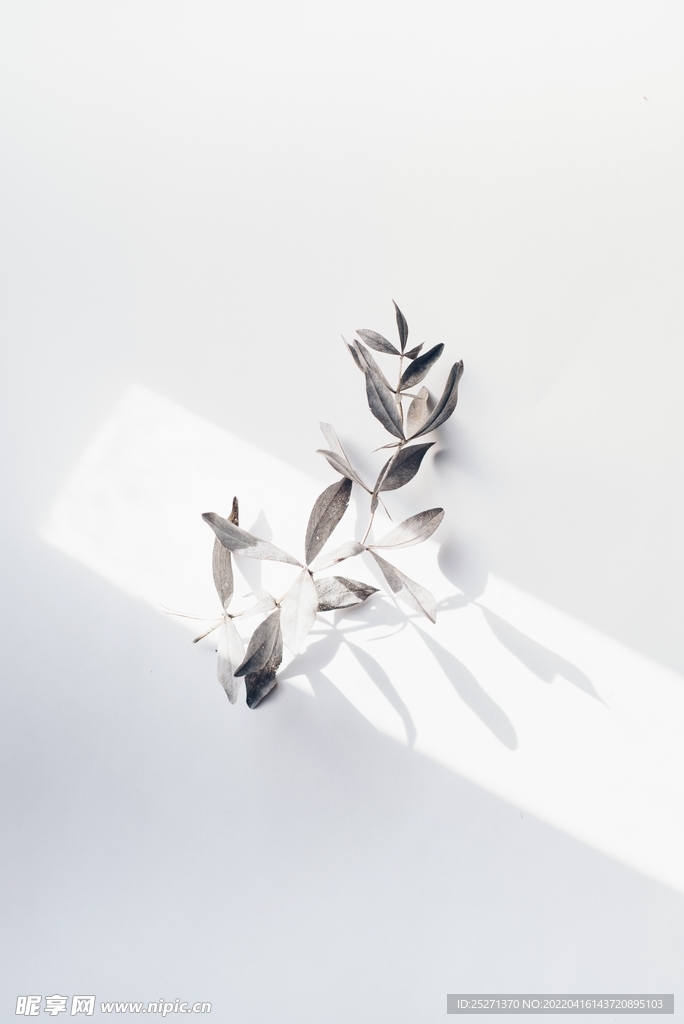 简约清新淡色背景