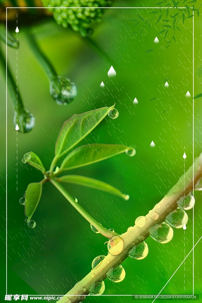 谷雨海报PSD素材