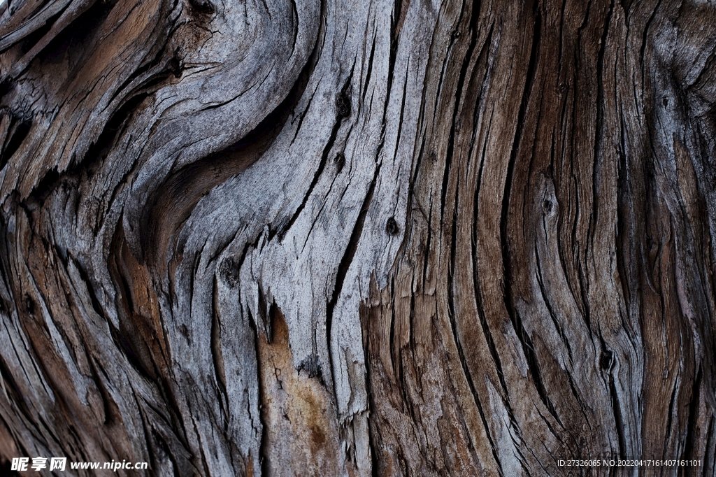 纹理 