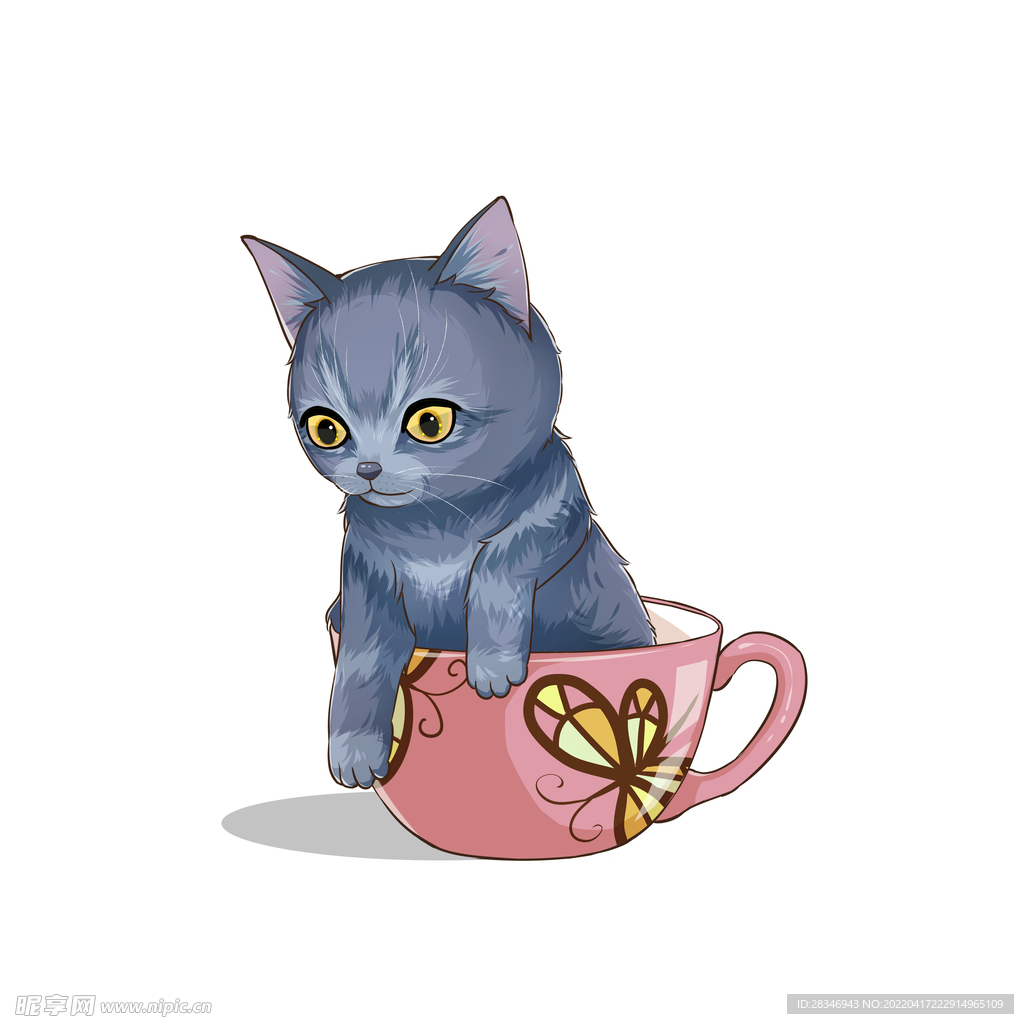 茶杯猫            