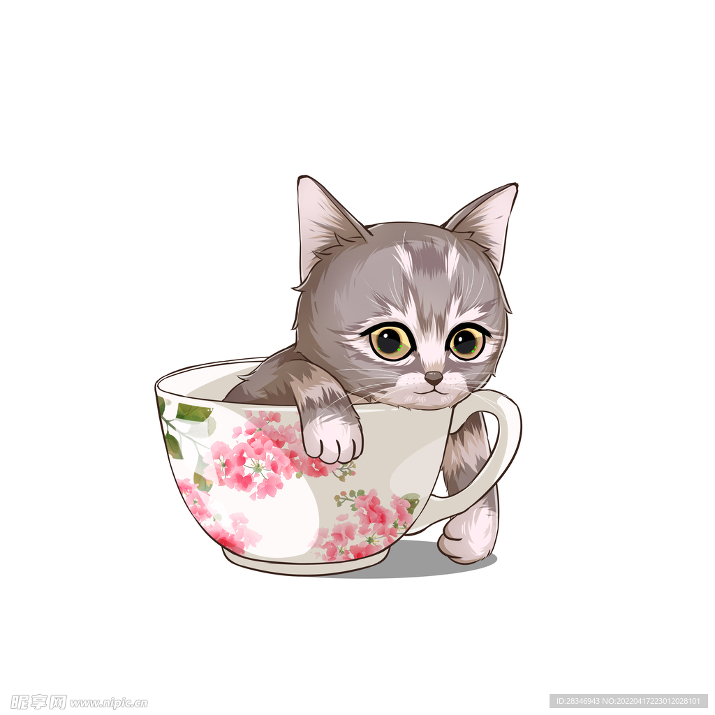 茶杯猫            