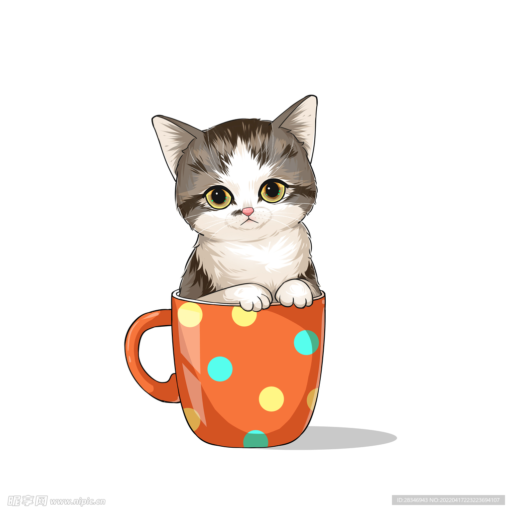 茶杯猫            