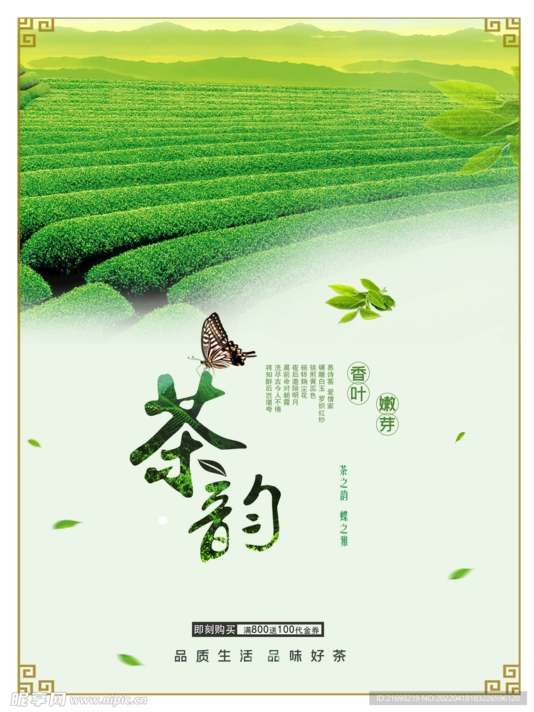 春茶