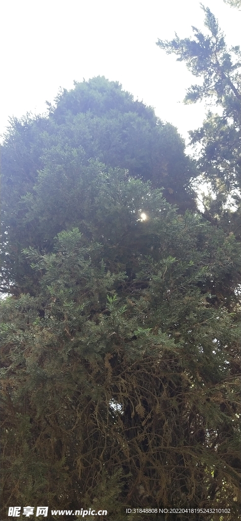 阳光