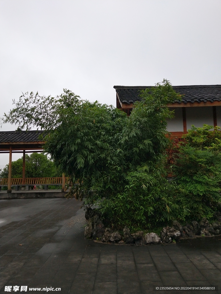 竹