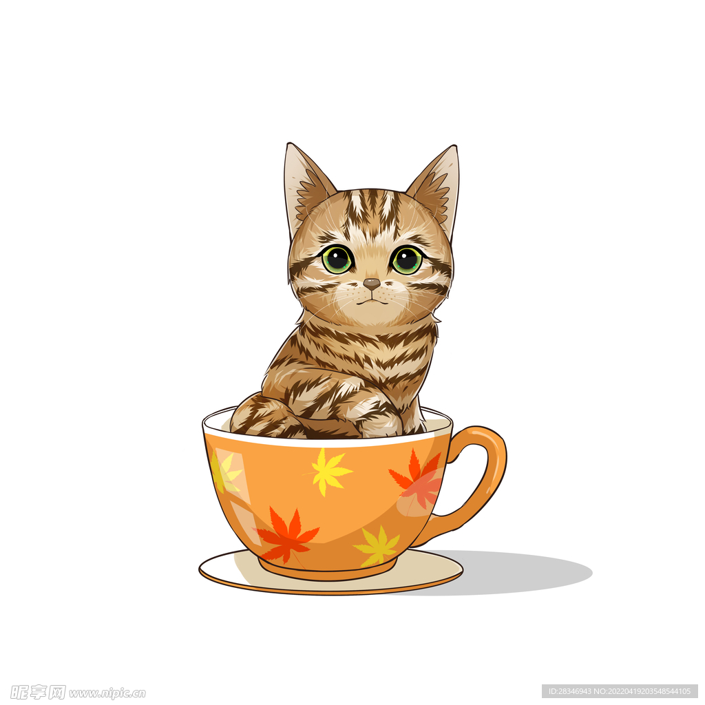 茶杯猫            