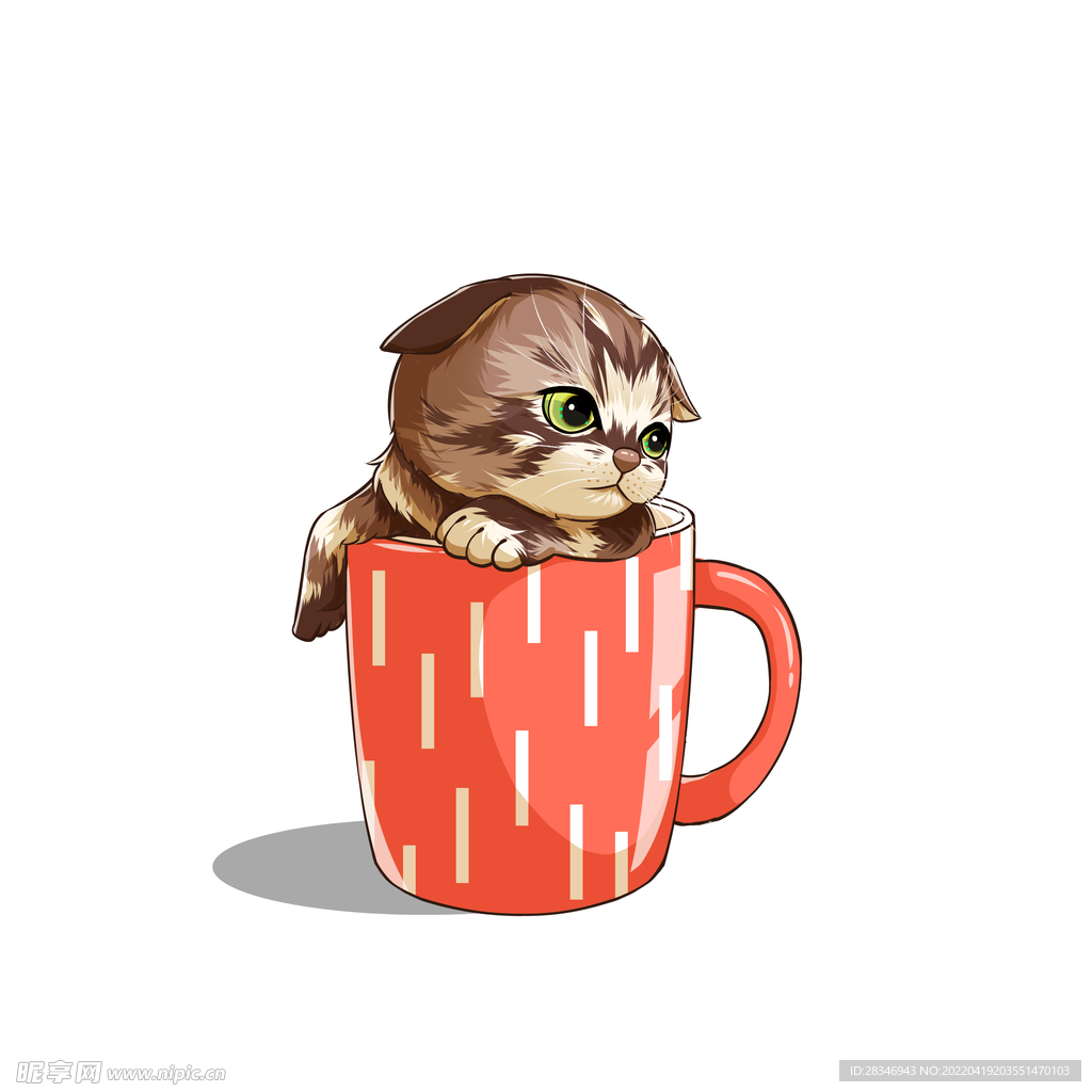 茶杯猫            