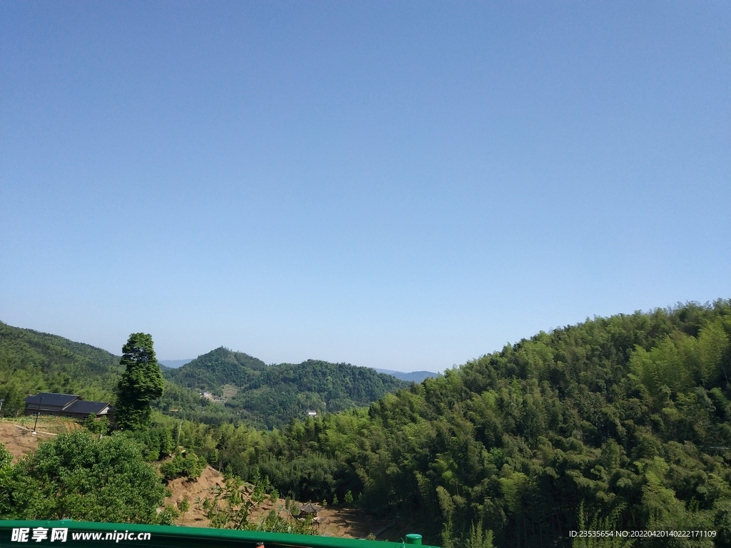 竹