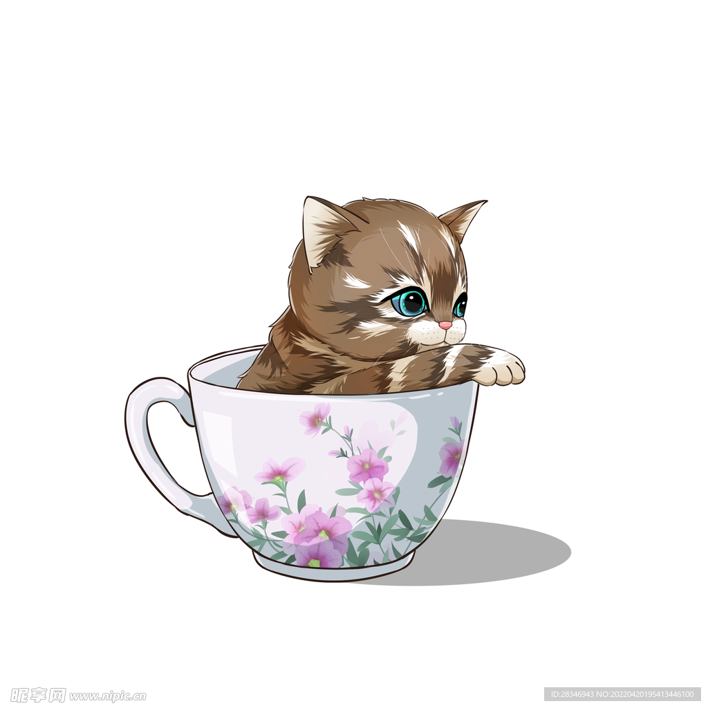 茶杯猫            