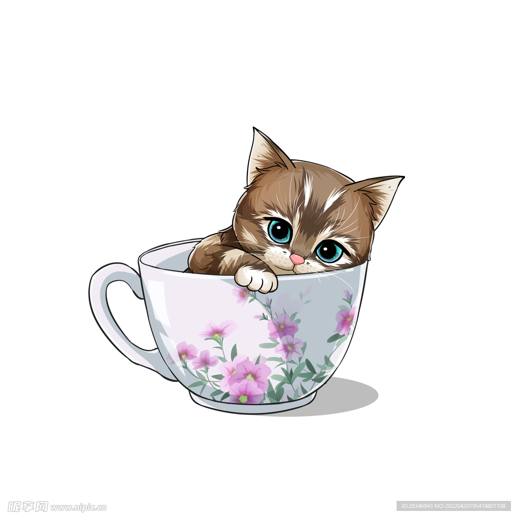 茶杯猫            