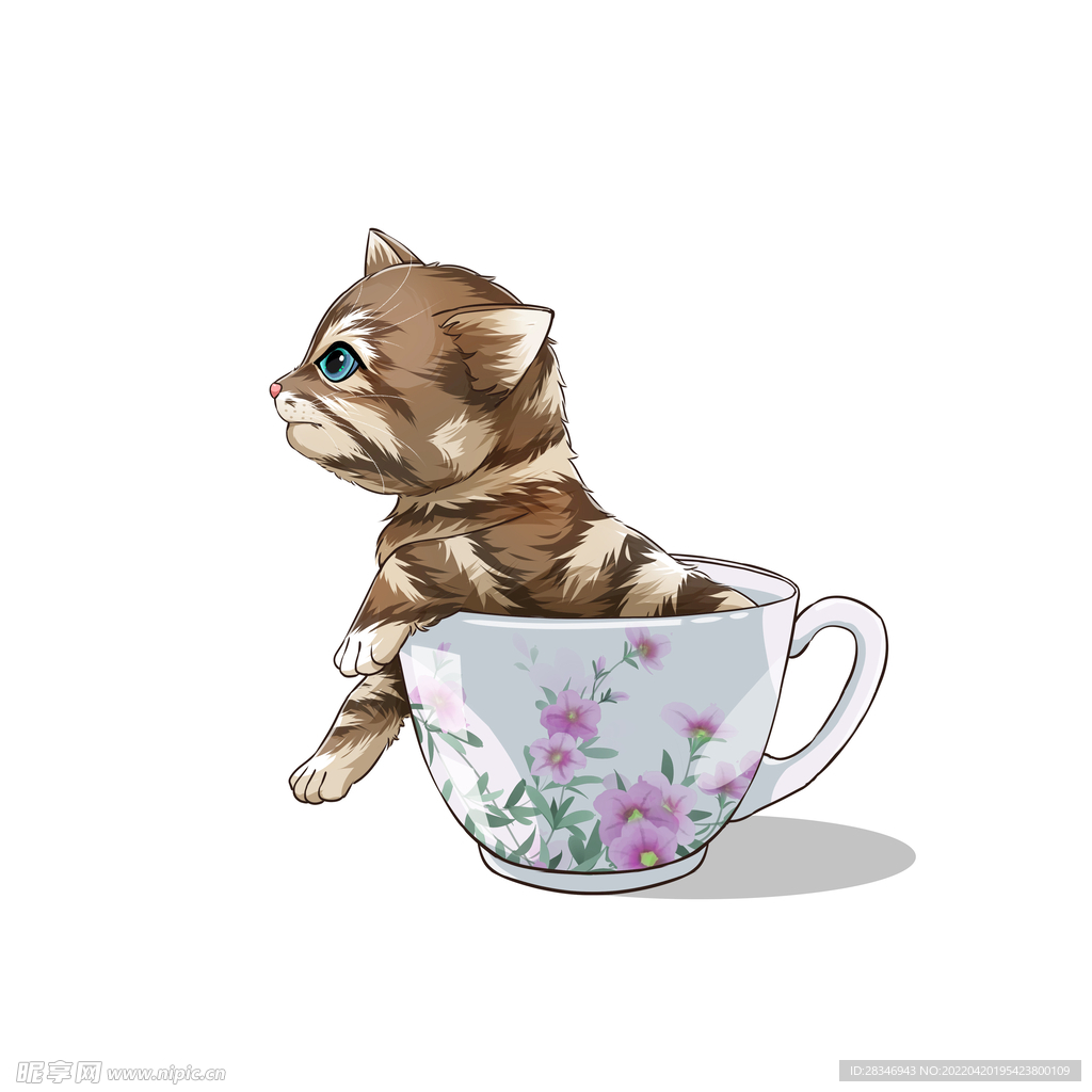 茶杯猫            