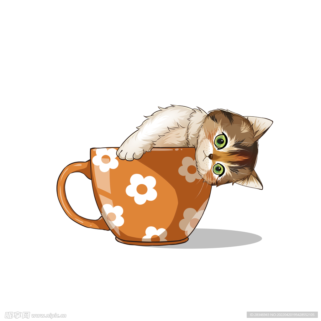 茶杯猫            