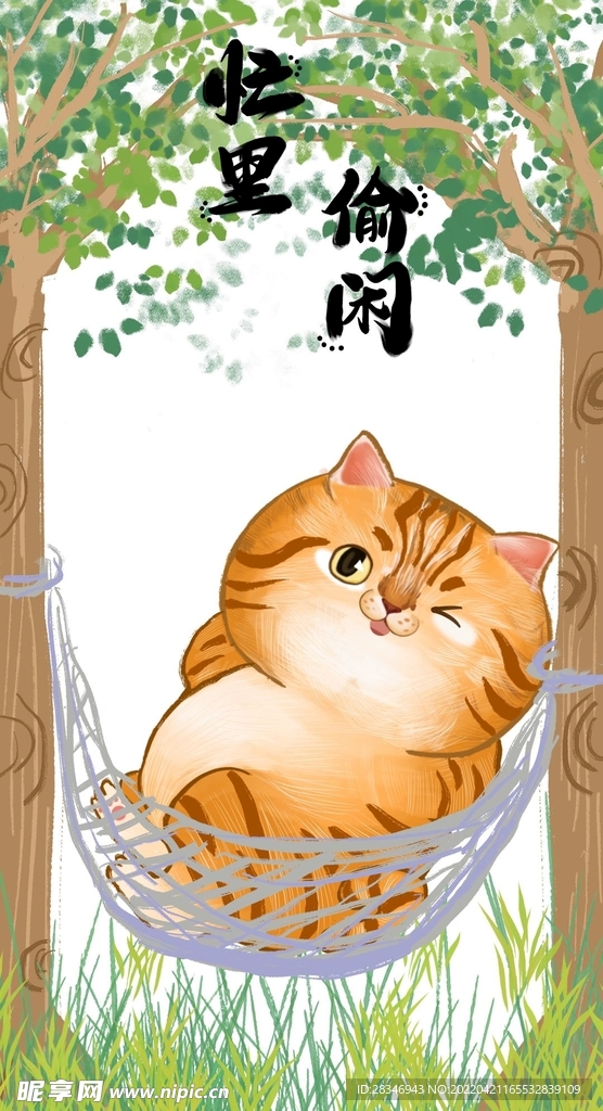 萌主猫            