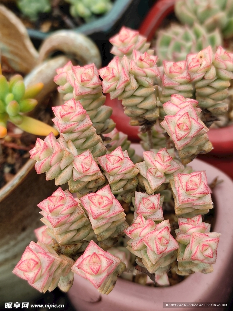 蜡笔