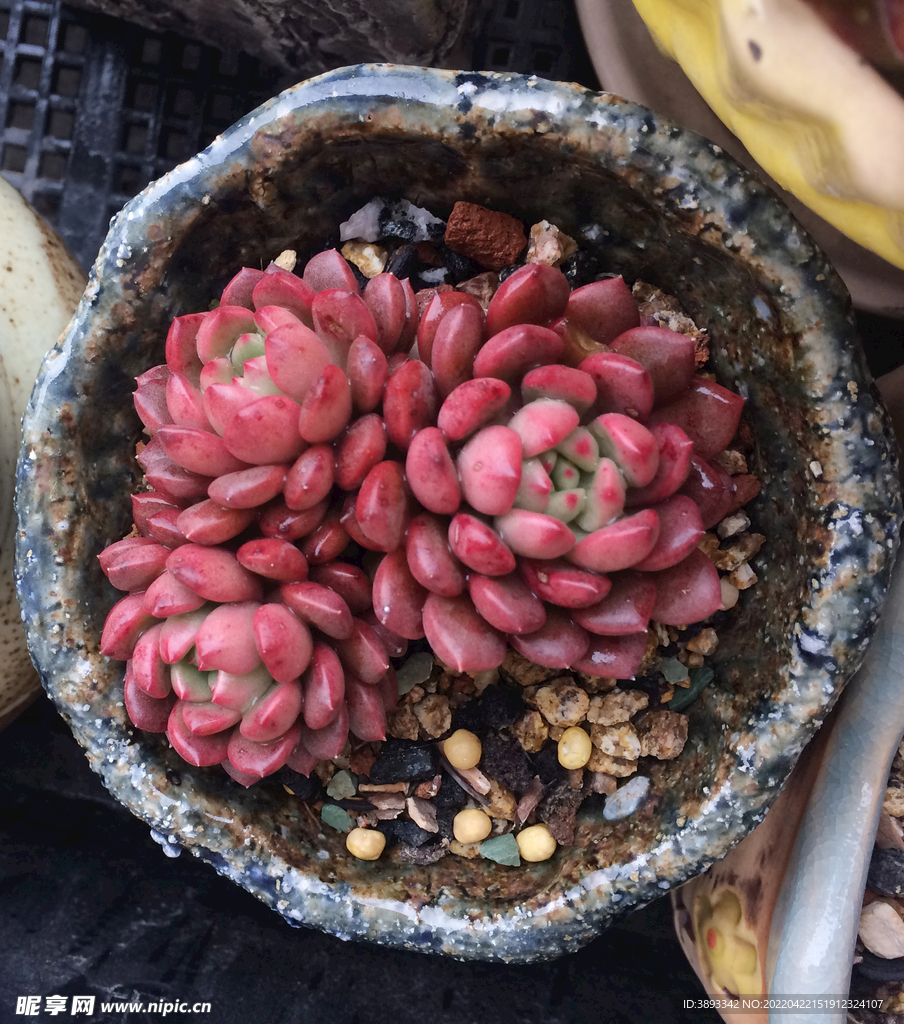 红宝石