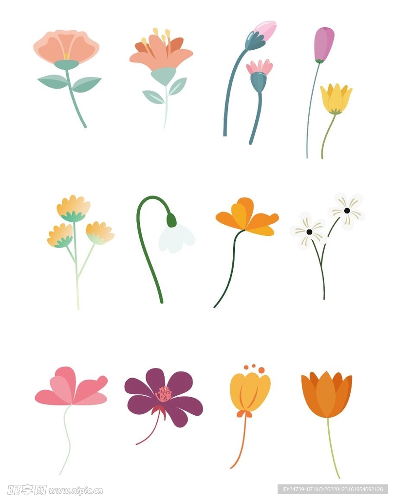 花枝