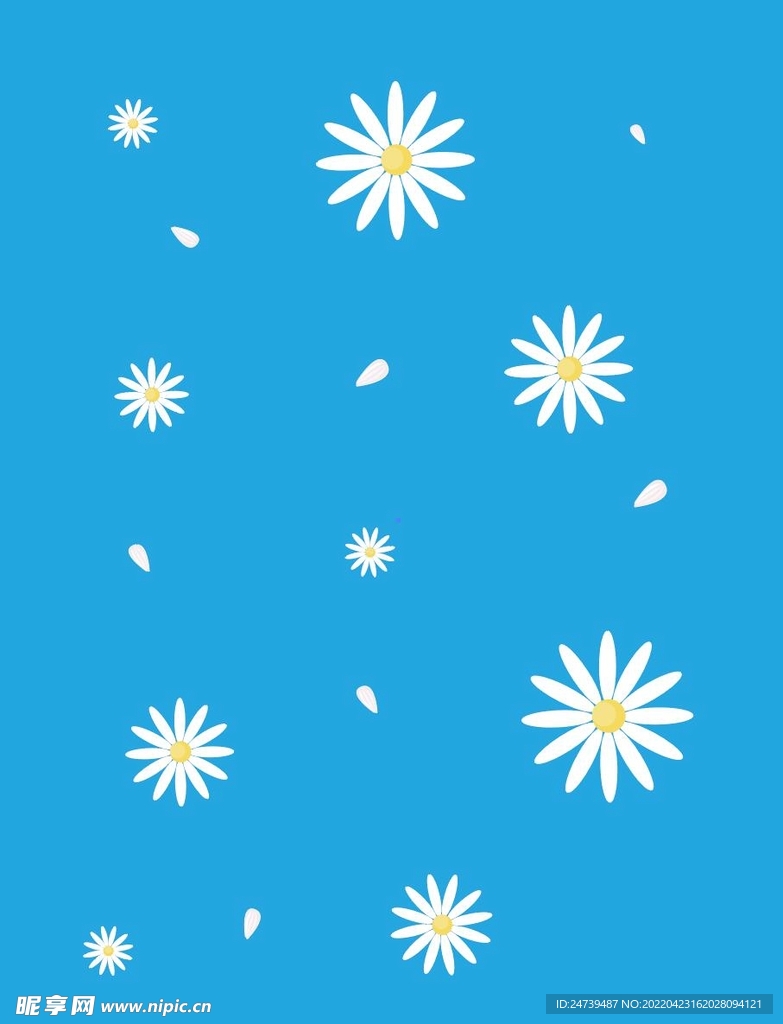 小叶菊花