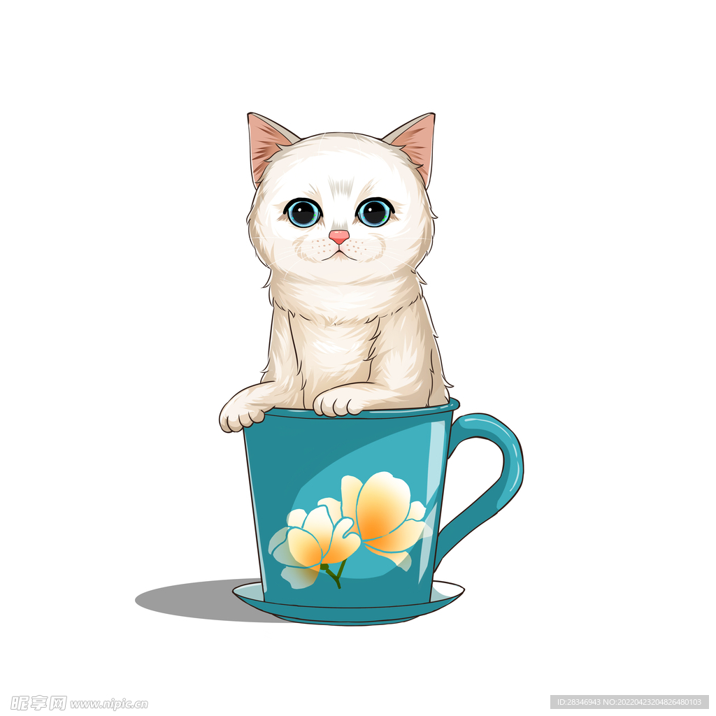 茶杯猫            