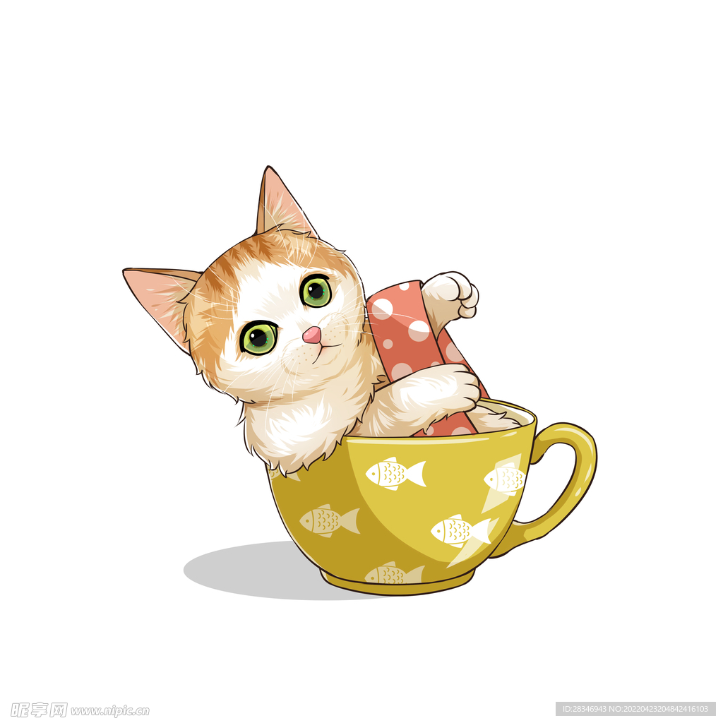 茶杯猫            