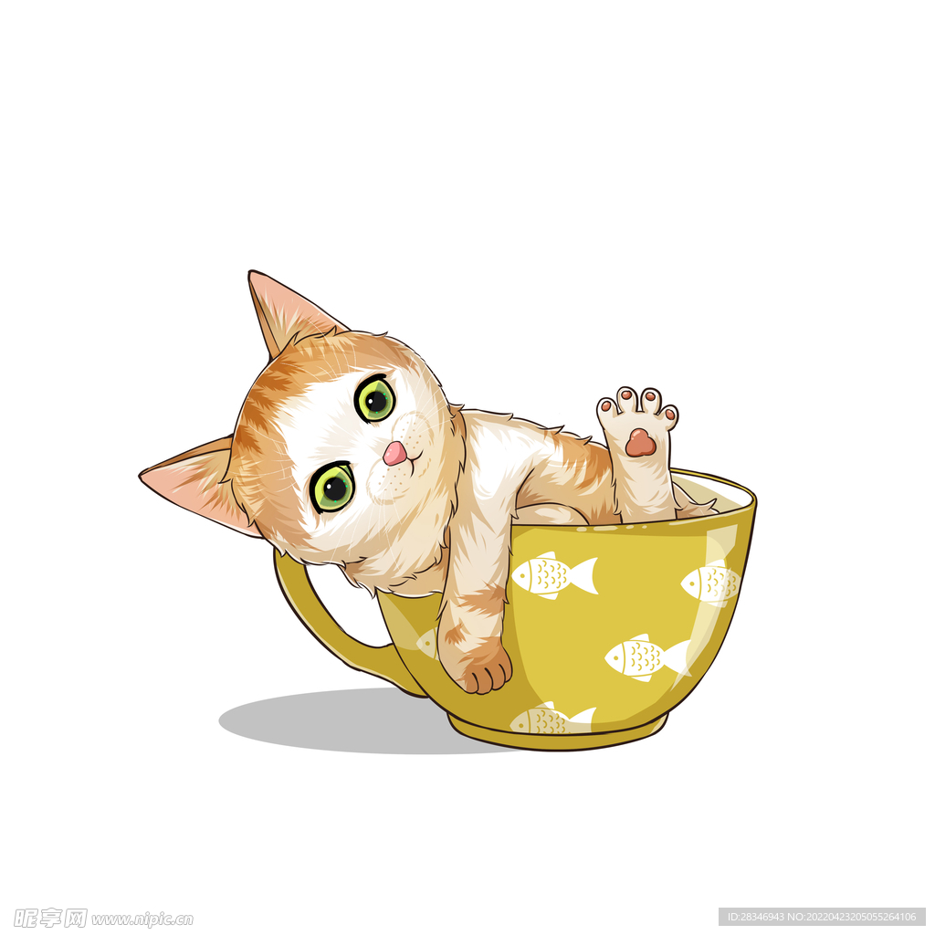 茶杯猫            