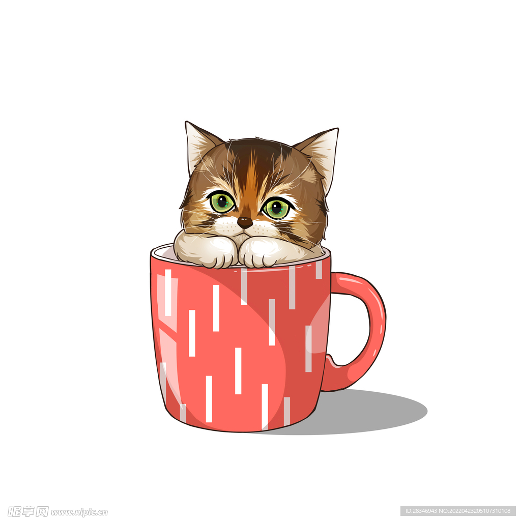 茶杯猫            