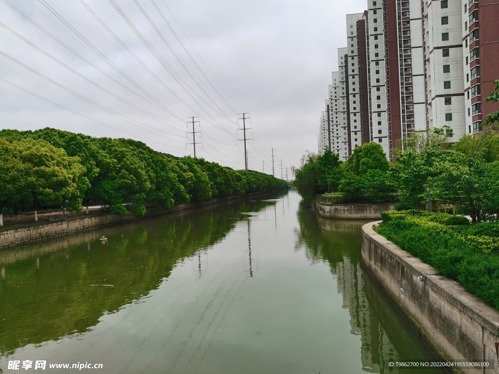 苏州小区路边风景