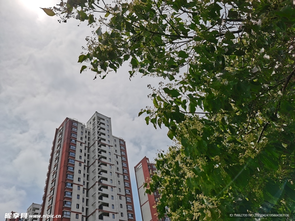 苏州小区路边风景