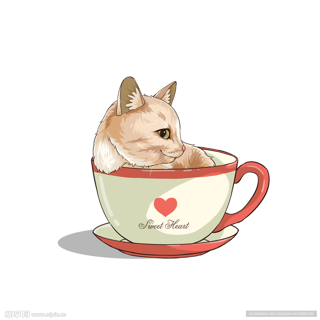 茶杯猫            