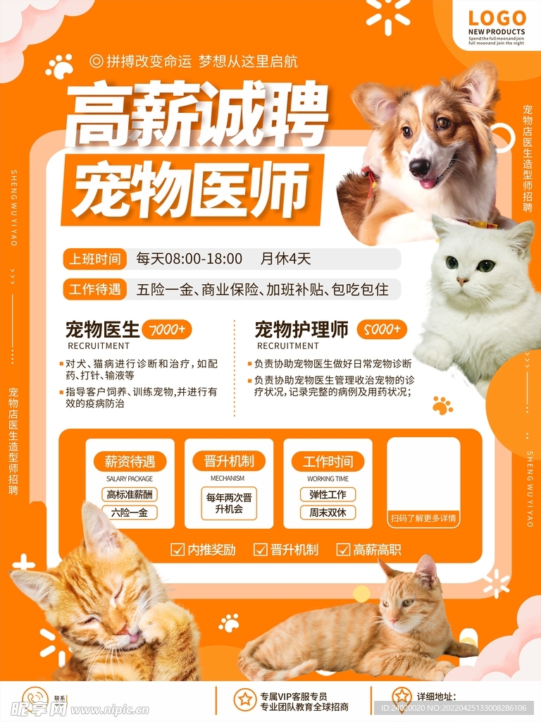 宠物医院招聘海报