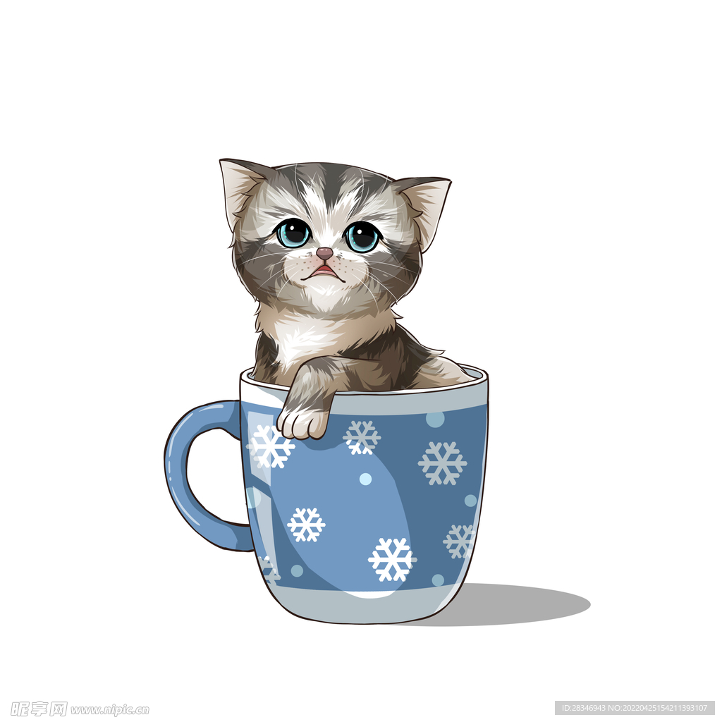 茶杯猫            