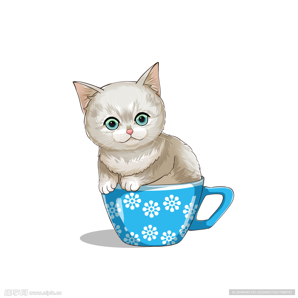 茶杯猫            