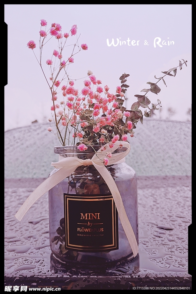 雨后一束花