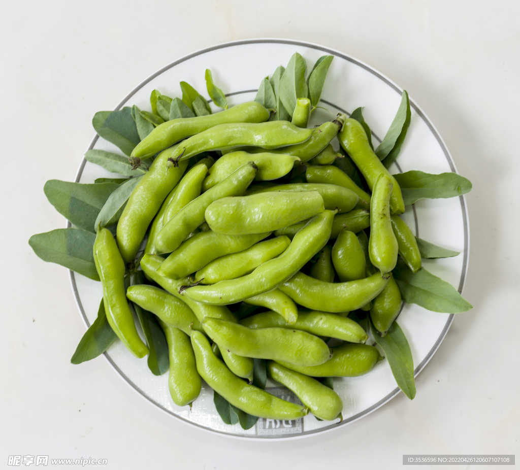 蚕豆超高清大图