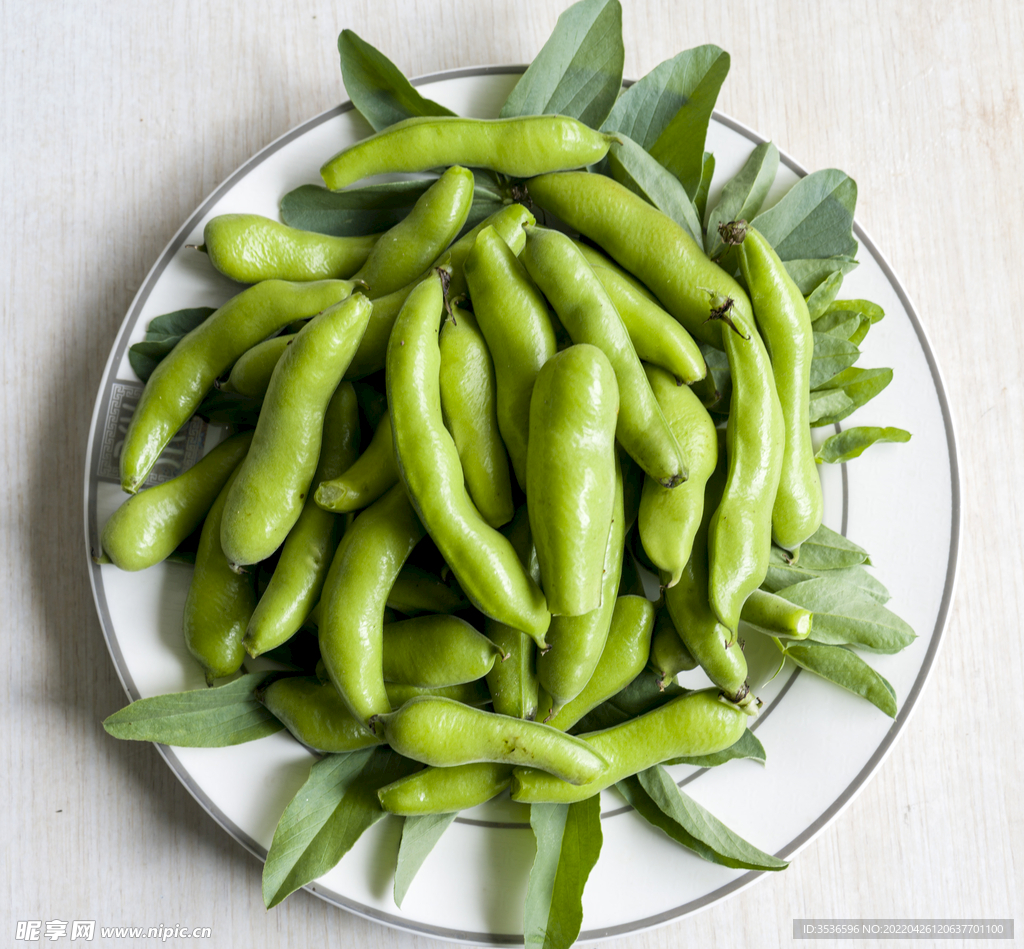 蚕豆超级大图