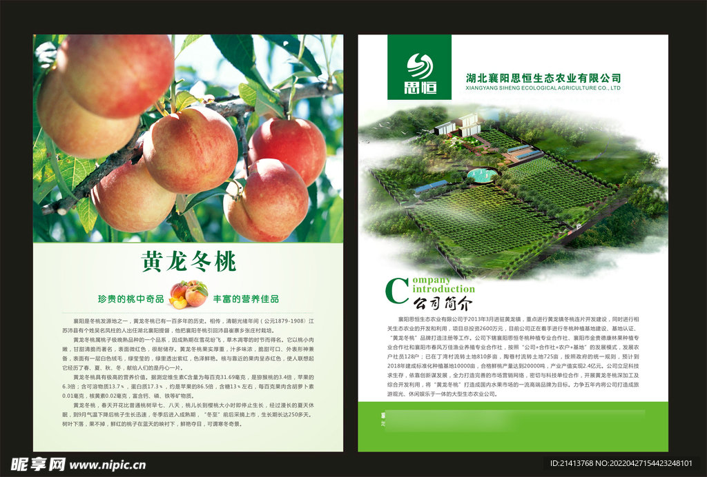 桃子单页设计 