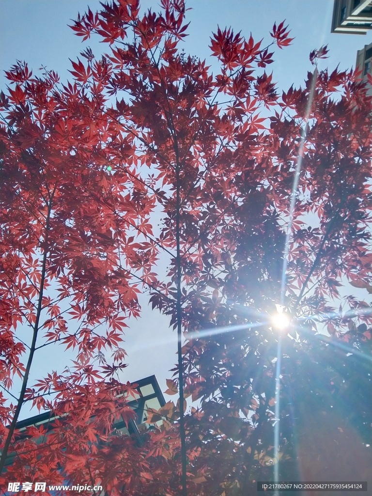 阳光下