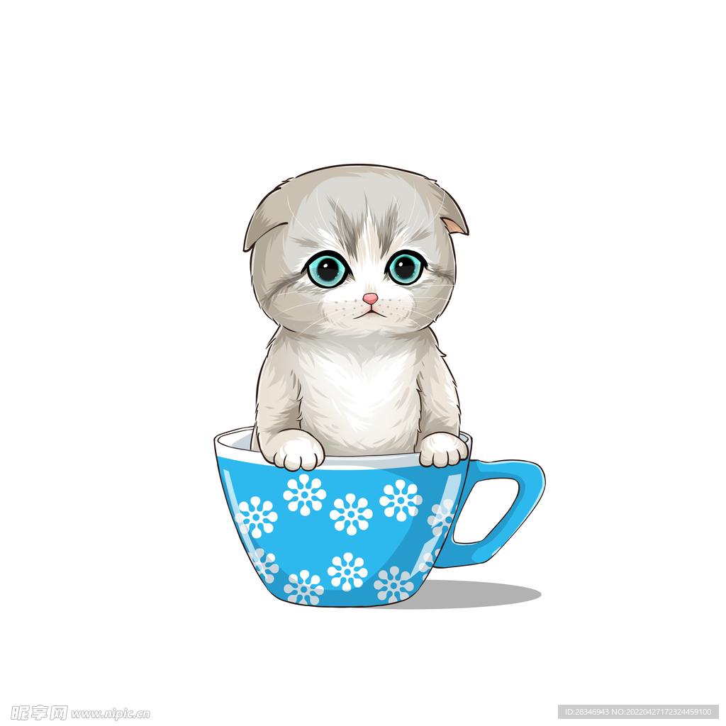 茶杯猫            